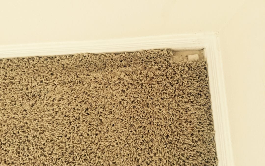 Carpet Repair After Moving Out in Scottsdale, AZ