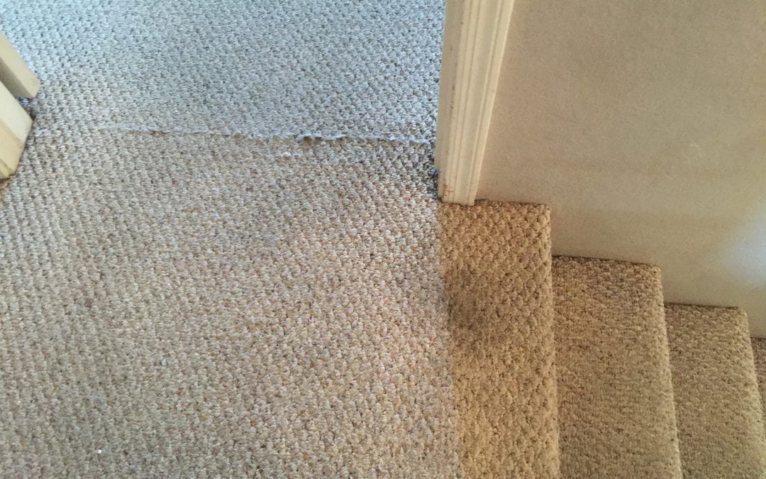 Carpet Seam Repair in Peoria