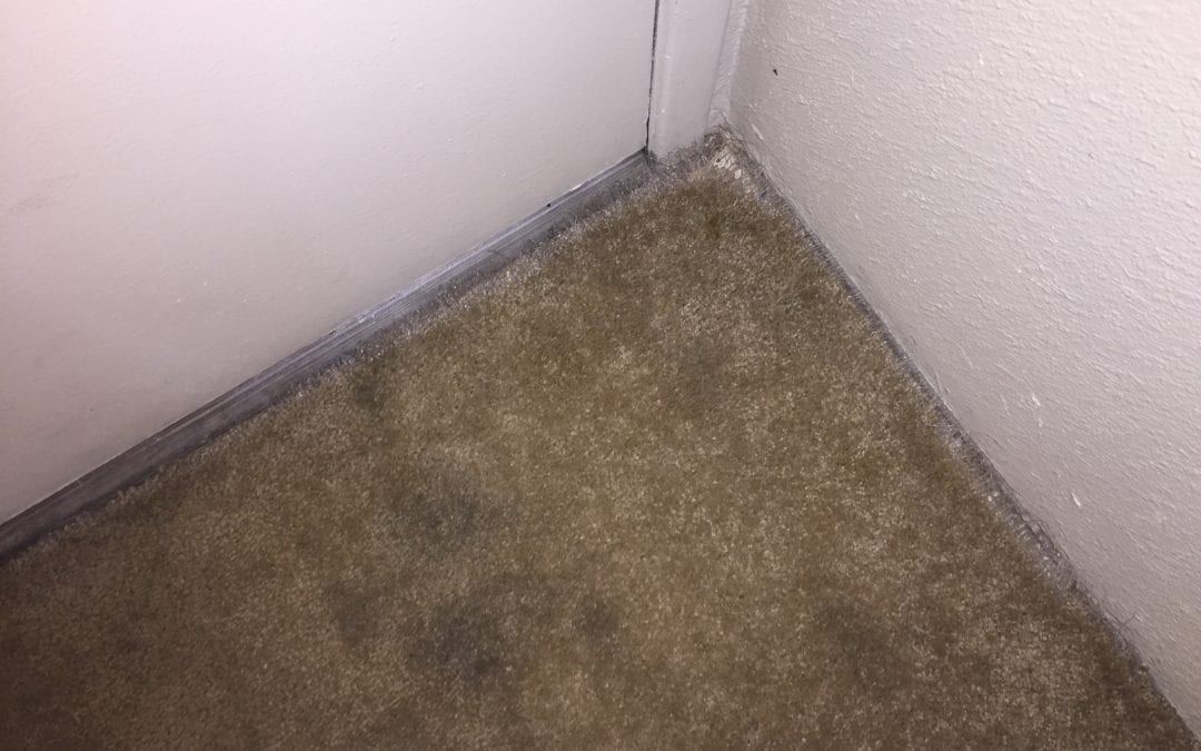 Carpet Repair Scottsdale