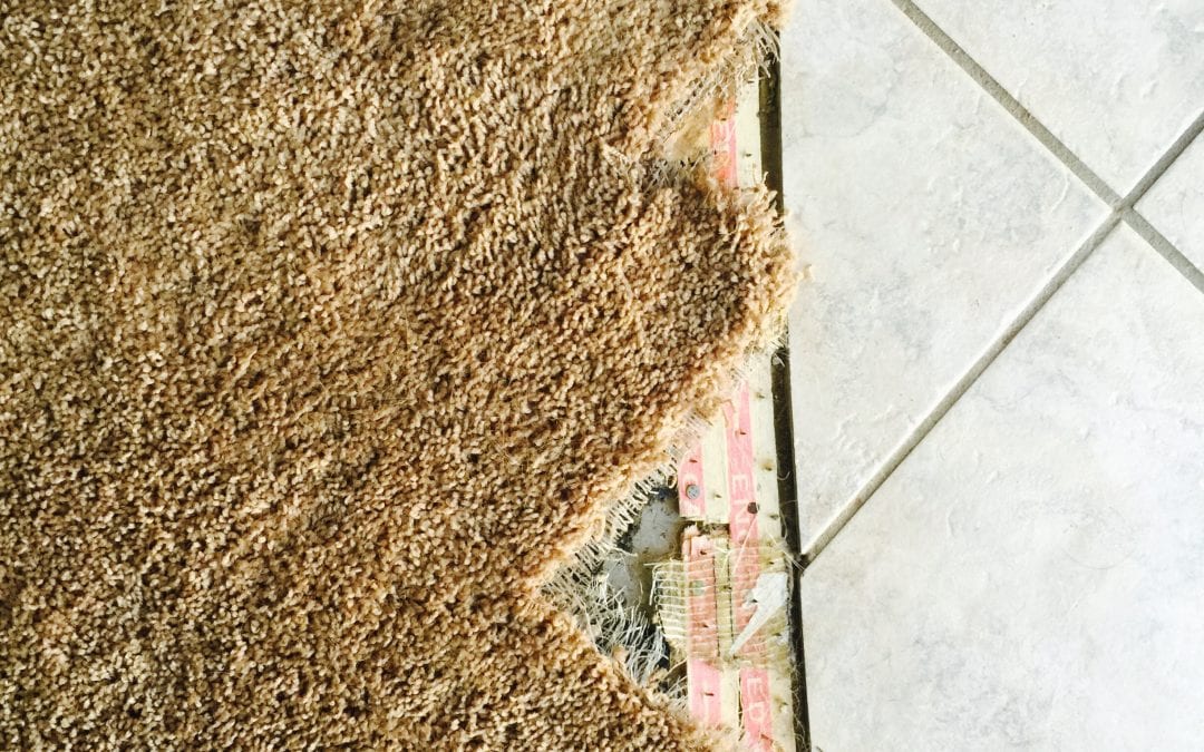 Carpet Repair Specialist in Paradise Valley