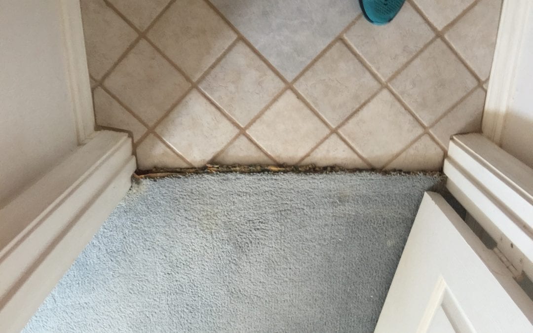 Queen Creek: Carpet to Tile Transition Repair