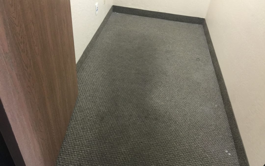 Carpet Cleaning Experts in Phoenix, AZ