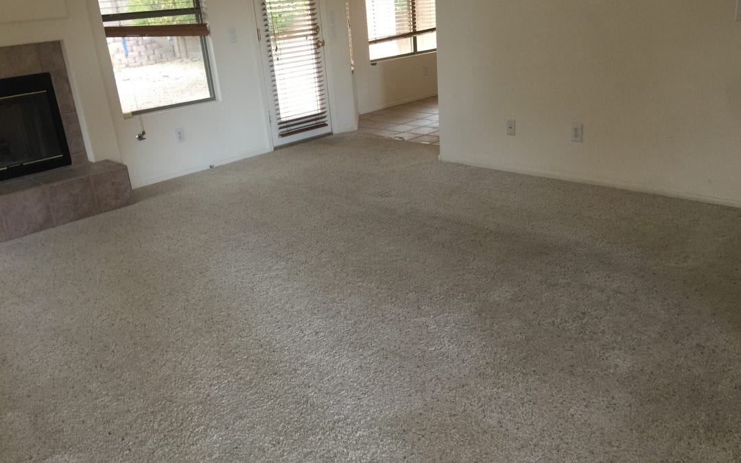 Professional Carpet Cleaning in Phoenix, AZ