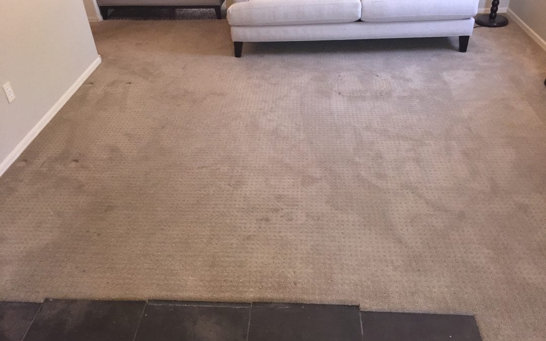 Cleaning Carpet in Scottsdale, AZ