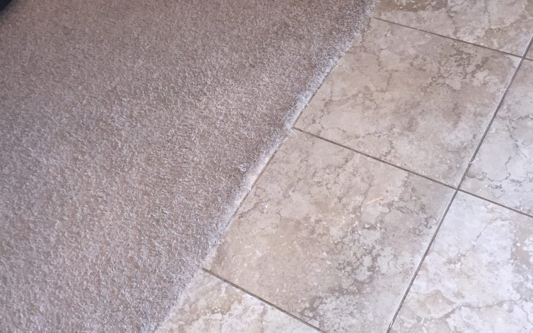 Paradise Valley: Repairing Carpet-to-Tile Transitions