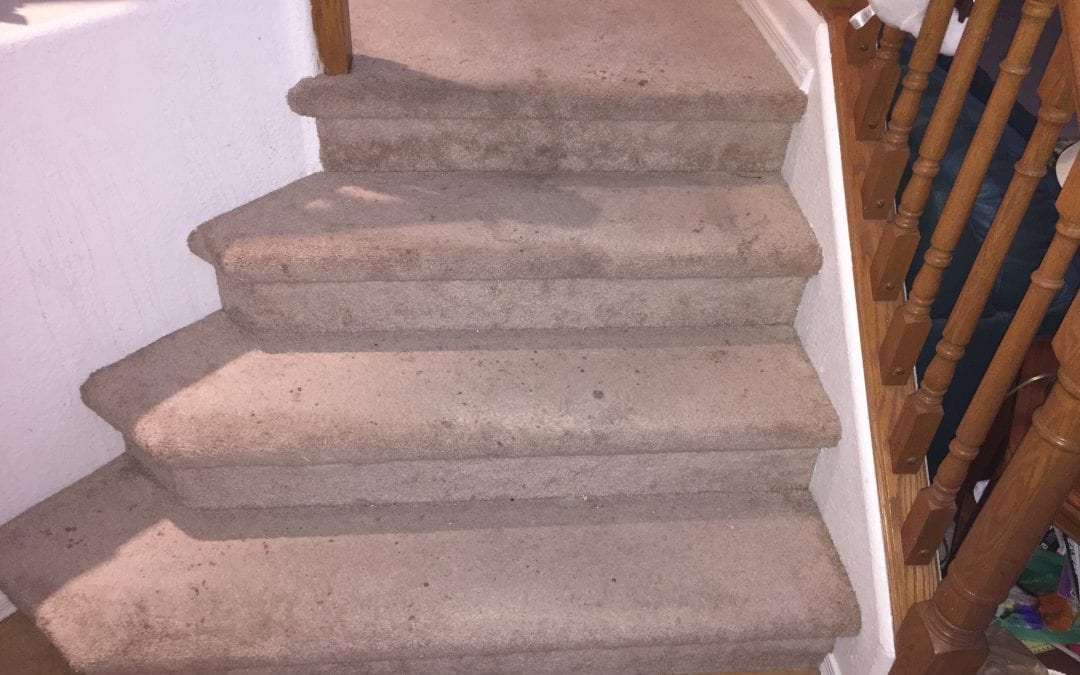 Stairs: Carpet Cleaning in Phoenix, AZ