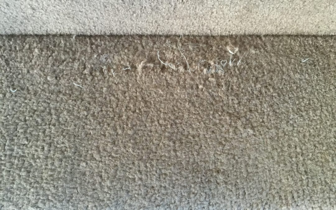 Goodyear, AZ: Carpet Repair on Stairs