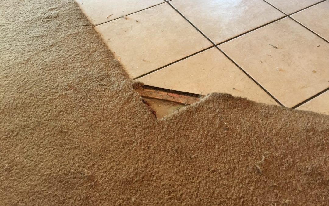 Gilbert, AZ: Carpet Repair in the East Valley