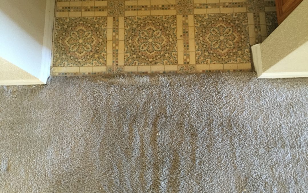 Carpet Repair in Mesa, AZ