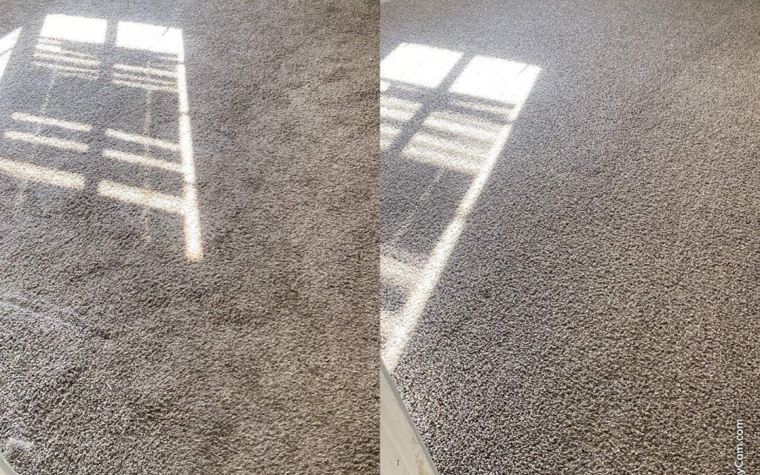 Carpet Cleaning Services in Paradise Valley, AZ